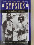 David M. Crowe - A History of the Gypsies of Eastern Europe and Russia [antikvár]