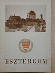 Zolnay László - Esztergom [antikvár]