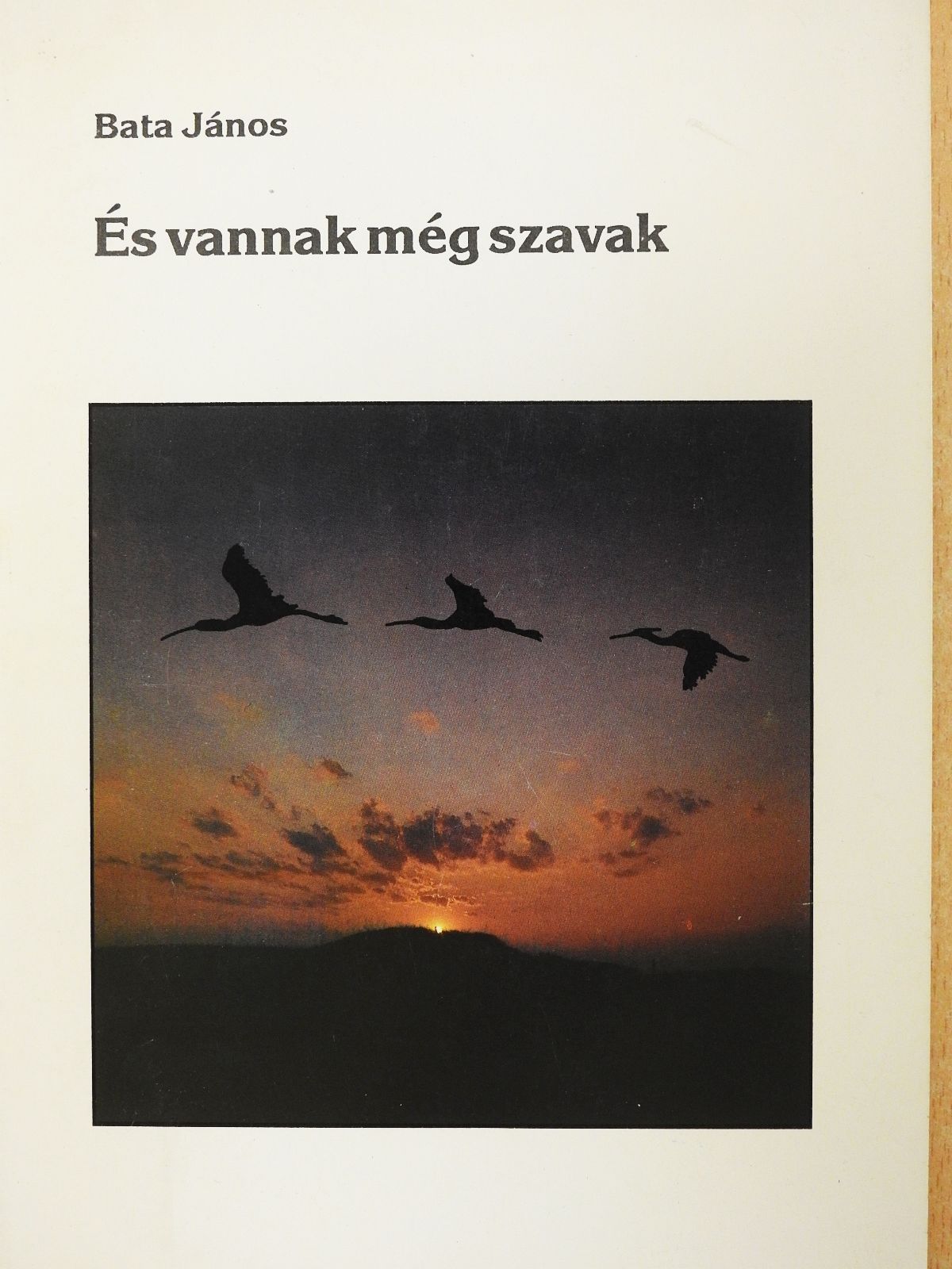 Bata János - És vannak még szavak (dedikált példány) [antikvár]