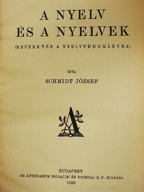Schmidt József - A nyelv és a nyelvek [antikvár]