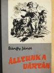 Bánffy János - Álltunk a vártán [antikvár]