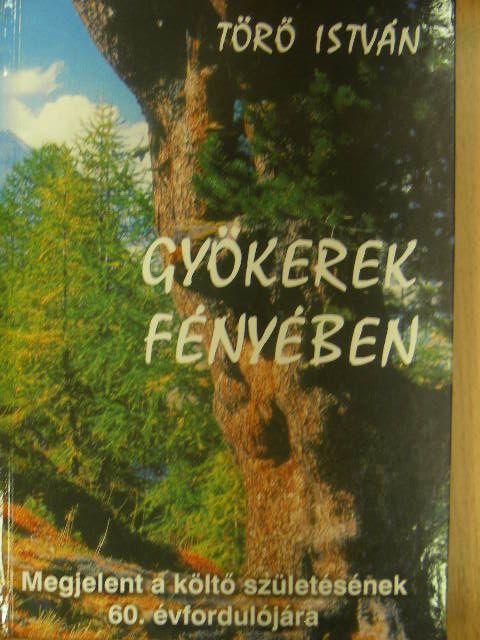Törő István - Gyökerek fényében [antikvár]