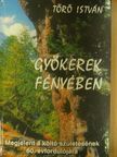 Törő István - Gyökerek fényében [antikvár]