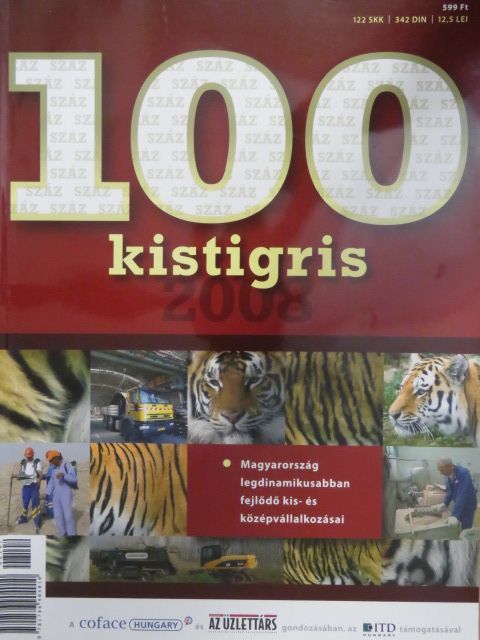 Bende Tamás - 100 kistigris 2008 [antikvár]