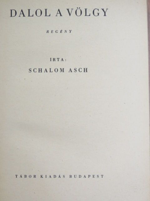 Schalom Asch - Dalol a völgy [antikvár]