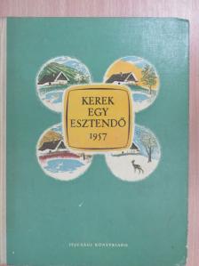 A. Smankevics - Kerek egy esztendő 1957. [antikvár]