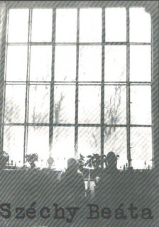 Széchy Beáta [antikvár]