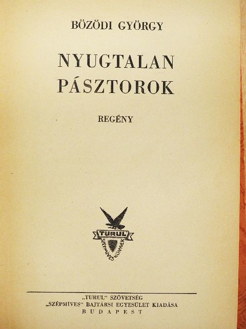 Bözödi György - Nyugtalan pásztorok [antikvár]