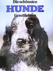Eric Knight - Die schönsten Hunde Geschichten [antikvár]