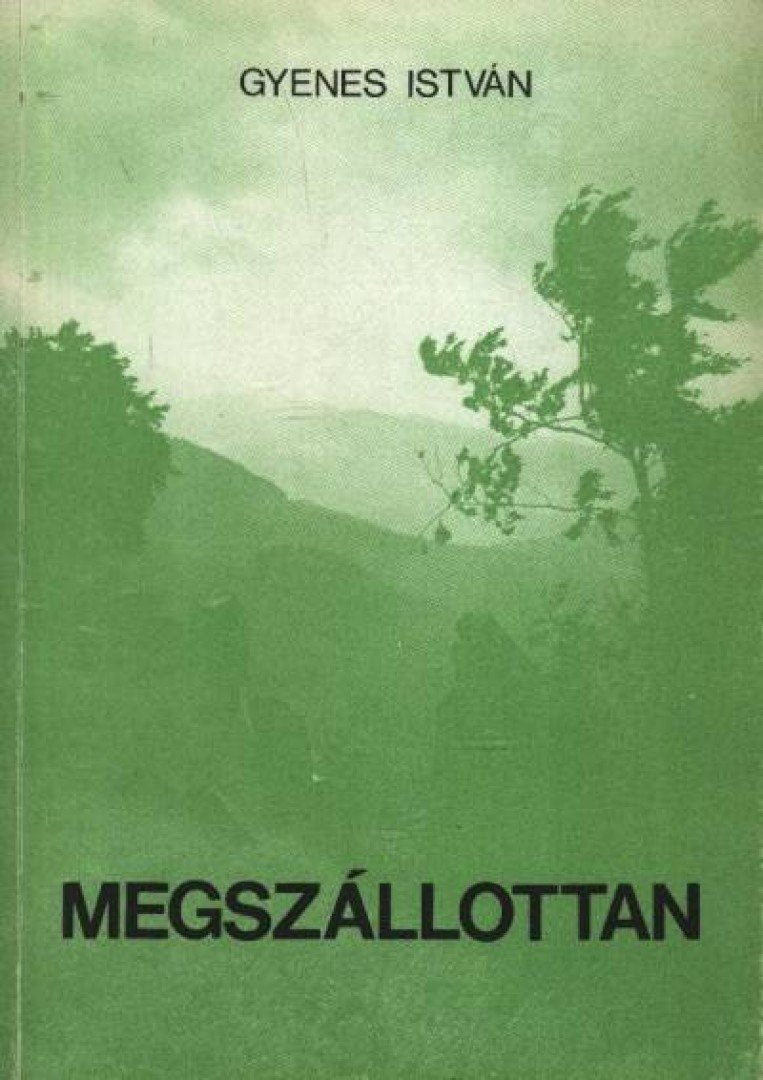 Gyenes István - Megszállottan [antikvár]
