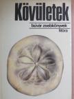 Dr. Scholz Gábor - Kövületek [antikvár]