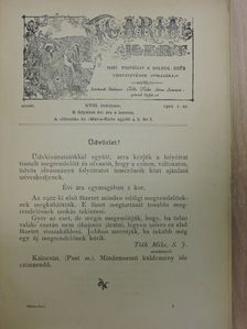 Dr. Varga Domján - Mária-Kert 1902. január-december [antikvár]