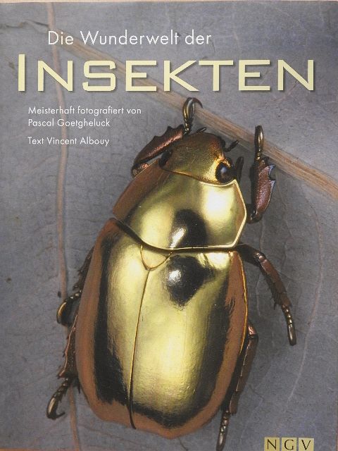 Vincent Albouy - Die Wunderwelt der Insekten [antikvár]