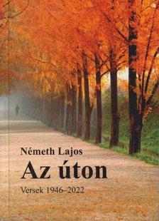 NÉMETH LAJOS - Az úton [antikvár]