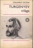 Zöldhelyi Zsuzsa - Turgenyev világa [antikvár]
