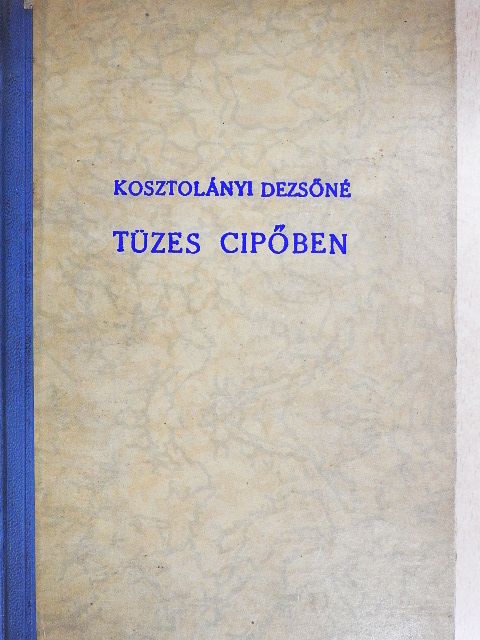 Kosztolányi Dezsőné - Tüzes cipőben [antikvár]