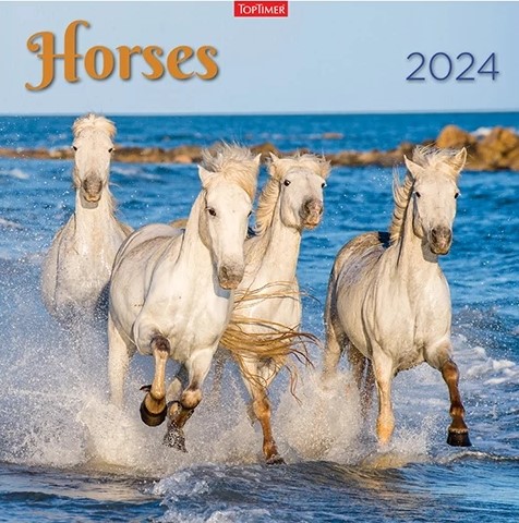 20T0098-010 - HORSES LEMEZNAPTÁR - 2024