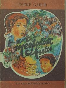 Cseke Gábor - A megtalált kulcs [antikvár]
