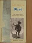 Debra Ginsberg - Blaze [antikvár]