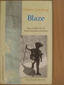 Debra Ginsberg - Blaze [antikvár]