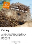 Karl May - A kinai sárkányfiak közt [eKönyv: epub, mobi]