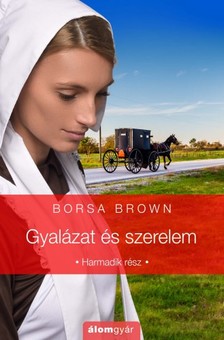 Borsa Brown - Gyalázat és szerelem - Gyalázat sorozat (3.) [eKönyv: epub, mobi]