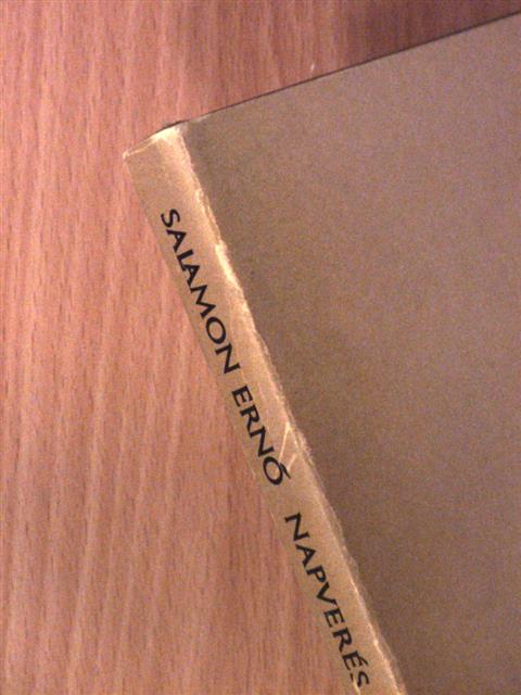 Salamon Ernő - Napverés egy sírkövön [antikvár]