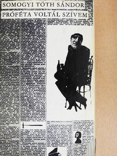 Somogyi Tóth Sándor - Próféta voltál szívem [antikvár]
