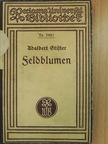 Adalbert Stifter - Feldblumen (gótbetűs) [antikvár]