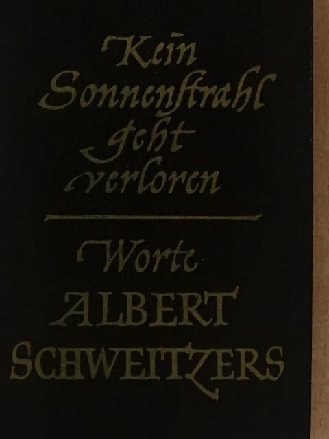 Albert Schweitzer - Kein Sonnenstrahl geht verloren [antikvár]
