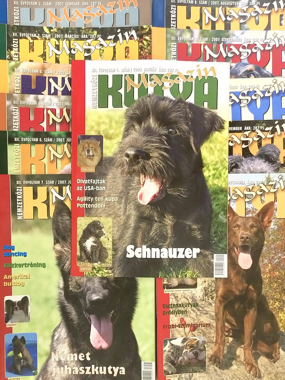 Darázs Ildikó - Nemzetközi Kutya Magazin 2007. január-december [antikvár]