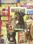 Darázs Ildikó - Nemzetközi Kutya Magazin 2007. január-december [antikvár]