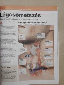 Az emberi test [antikvár]
