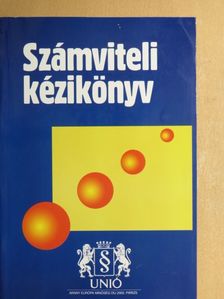 Dr. Bíró Tibor - Számviteli kézikönyv 2004 [antikvár]