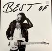 BRUCE SPRINGSTEEN - BEST OF BRUCE SPRINGSTEEN 2LP