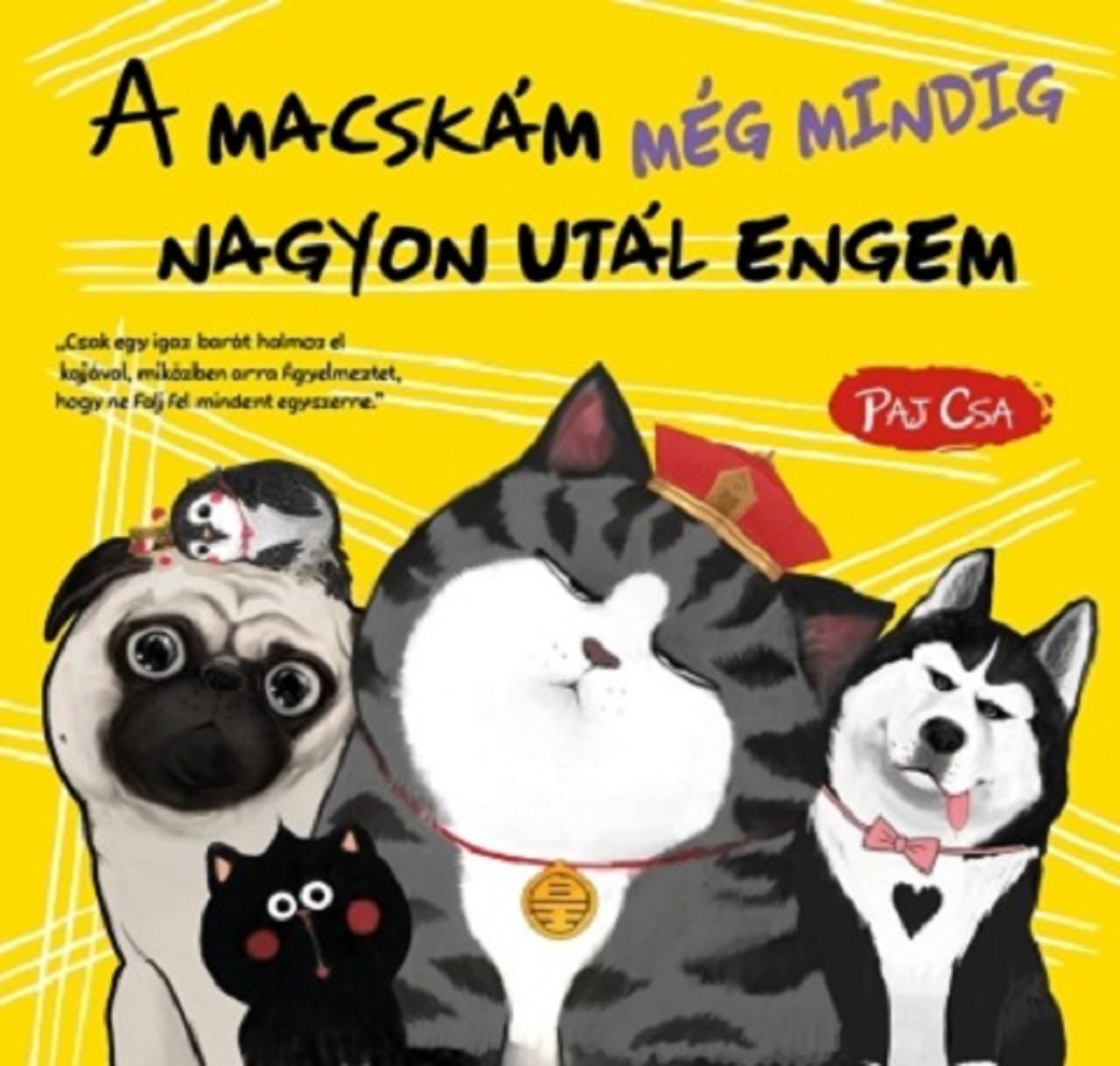 Paj Csa - A macskám még mindig nagyon utál engem
