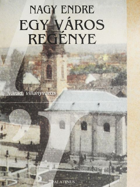 Nagy Endre - Egy város regénye [antikvár]