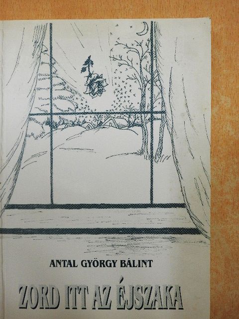 Antal György Bálint - Zord itt az éjszaka [antikvár]