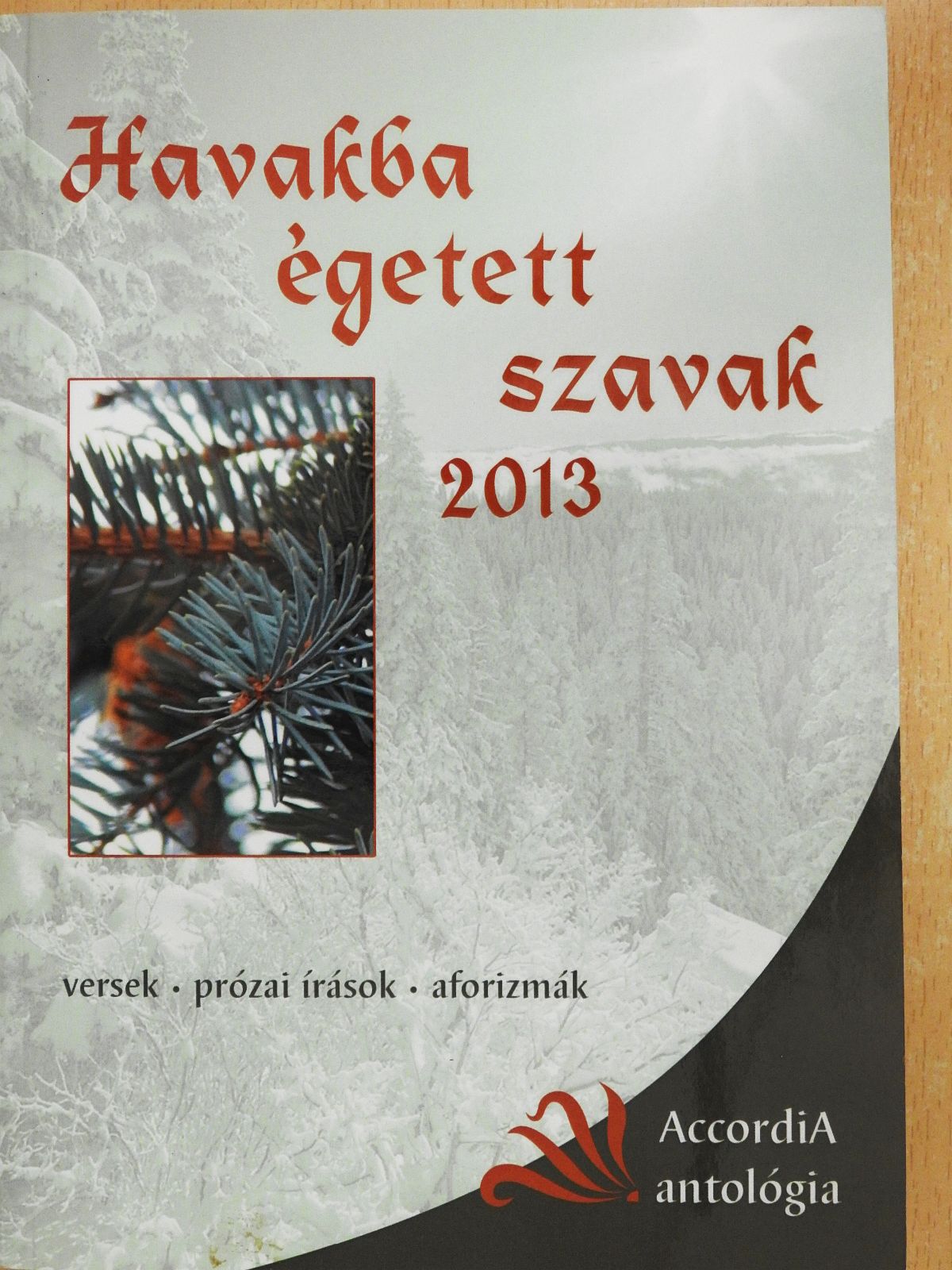Balázs Tibor - Havakba égetett szavak 2013 (dedikált példány) [antikvár]
