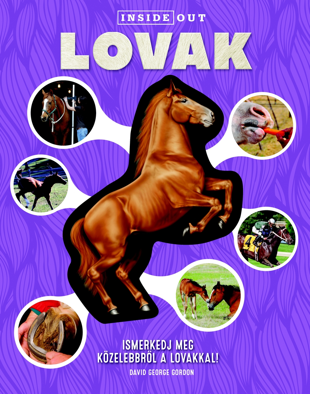 Joshua Beach - Lovak
