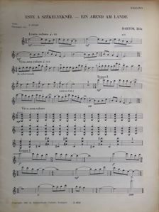 Alexander Glazunov - Este a Székelyeknél/Valse Bluette/La Capricieuse/Spanyol szerenád/Keringő/Kállai kettős/Largo/Liebesfreud/Liebesleid/Auf flügeln des gesanges/Menuett a D-dúr Divertimentoból/Zigeunerweisen [antikvár]