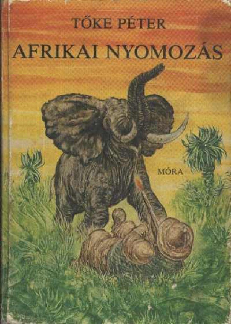 TŐKE PÉTER - Afrikai nyomozás [antikvár]