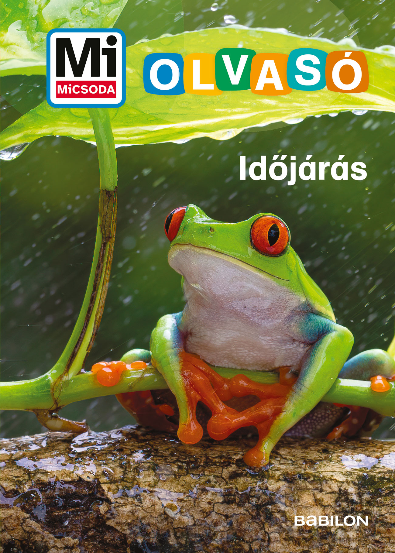 Christina Braun - Időjárás - Mi MICSODA Olvasó