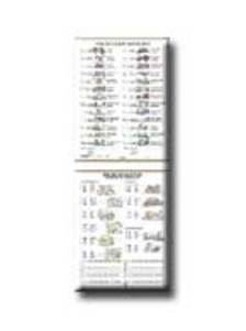 Stiefel Eurocart Kft. - 2263 THE ENGLISH ALPHABET - PRONUNCIATION - FIXI -
