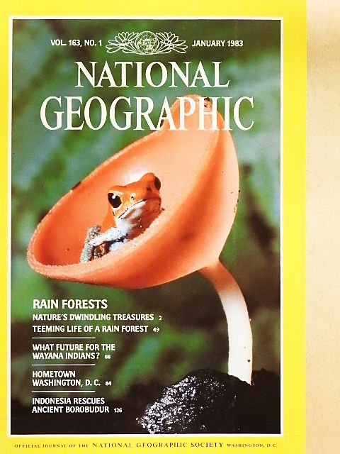 David Hughes - National Geographic January 1983 [antikvár]