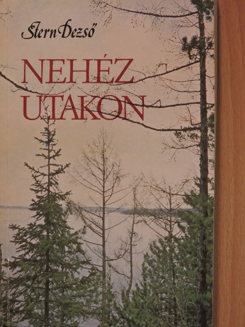 Stern Dezső - Nehéz utakon [antikvár]