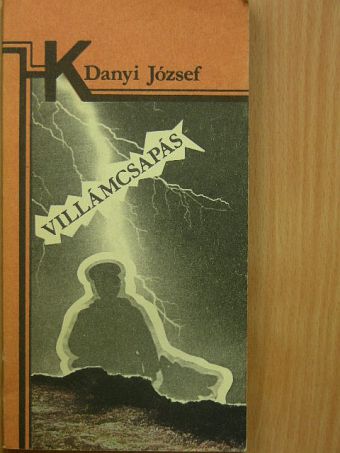 Danyi József - Villámcsapás [antikvár]
