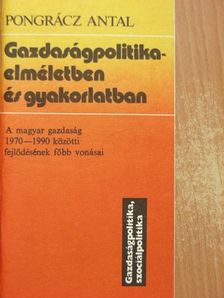 Pongrácz Antal - Gazdaságpolitika - elméletben és gyakorlatban [antikvár]