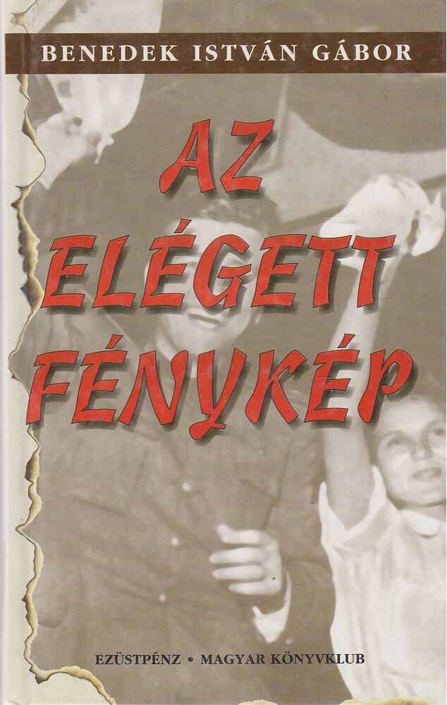 Benedek István Gábor - Az elégett fénykép [antikvár]