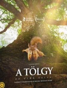 A TÖLGY - AZ ERDŐ SZÍVE